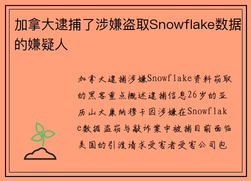 加拿大逮捕了涉嫌盗取Snowflake数据的嫌疑人 