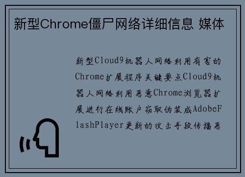 新型Chrome僵尸网络详细信息 媒体