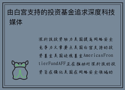由白宫支持的投资基金追求深度科技 媒体